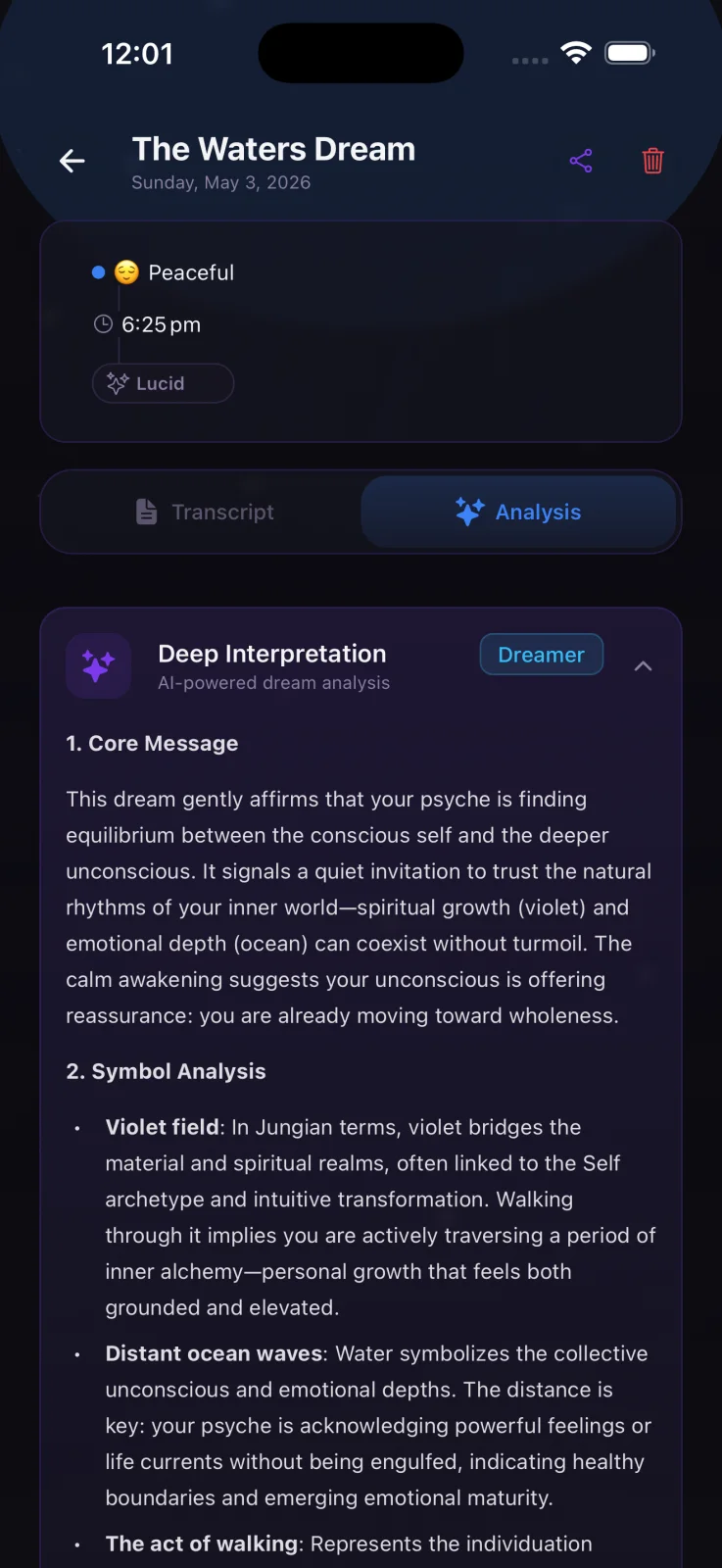 Ensueño reflective AI interpretation screen